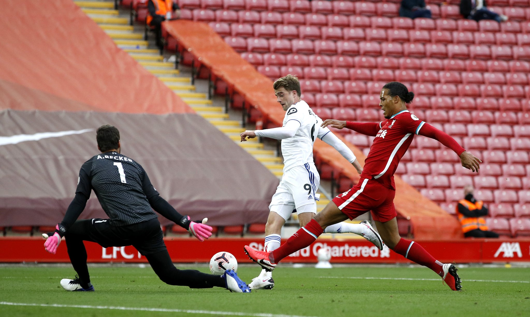 真实情况 真实情况