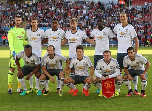 专家阿莱格 专家阿莱格