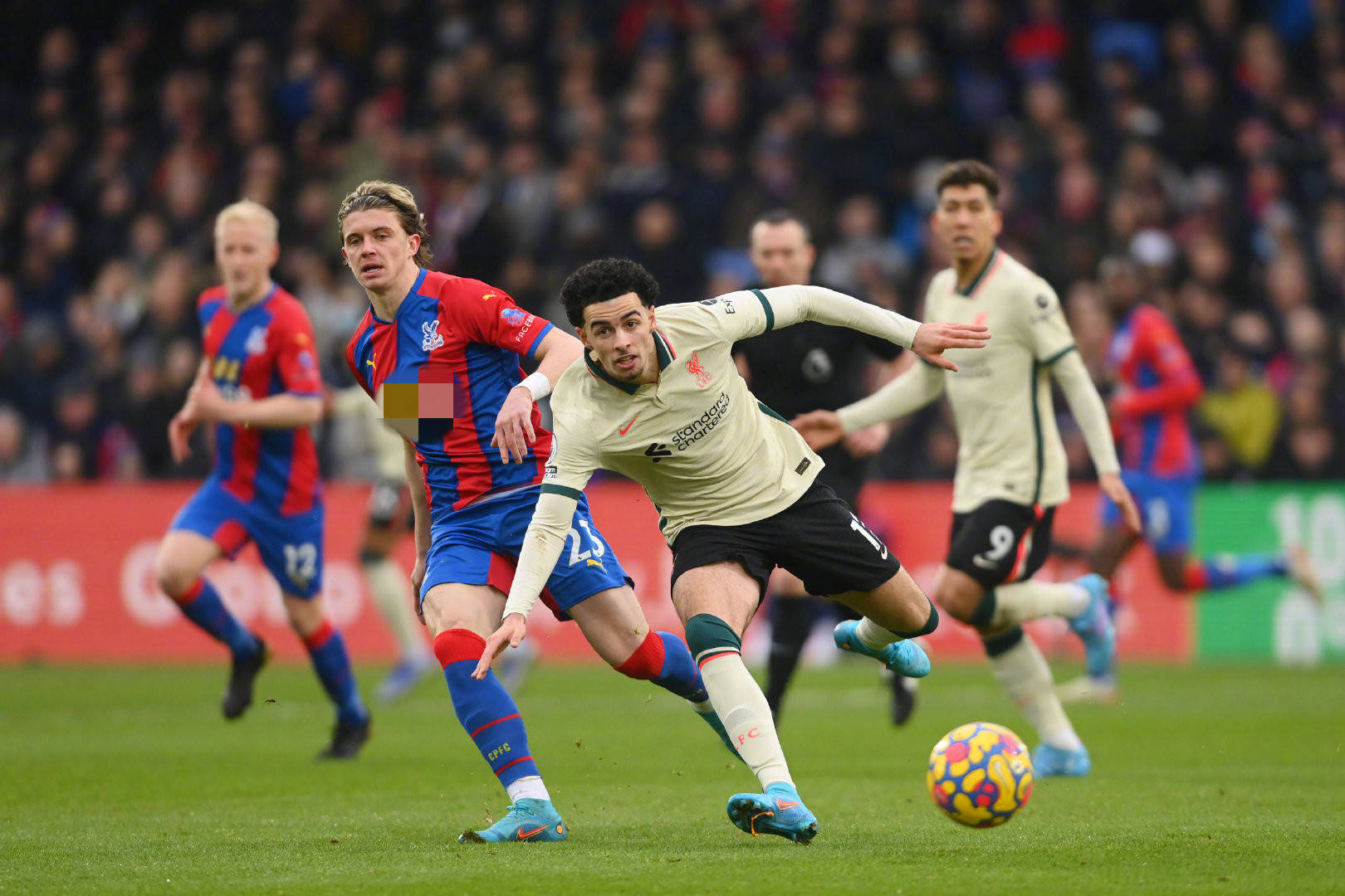 为武汉江大 为武汉江大